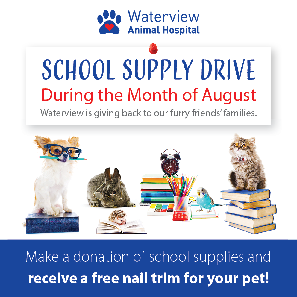 18-0275 CL - Waterview - School Supply Poster - Facebook post - 476x476 - PNG (1)